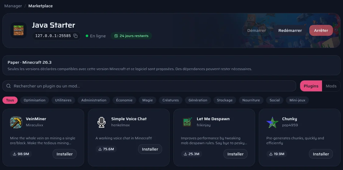 La page Marketplace du panel sur un serveur Paper.