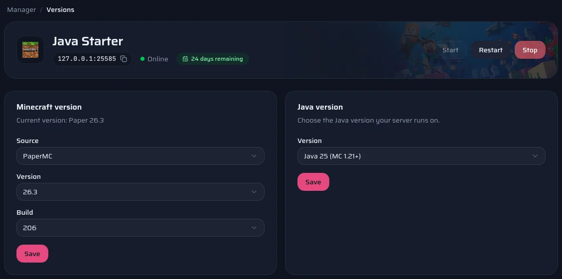 The panel's Versions page: server software, version, build and Java version.