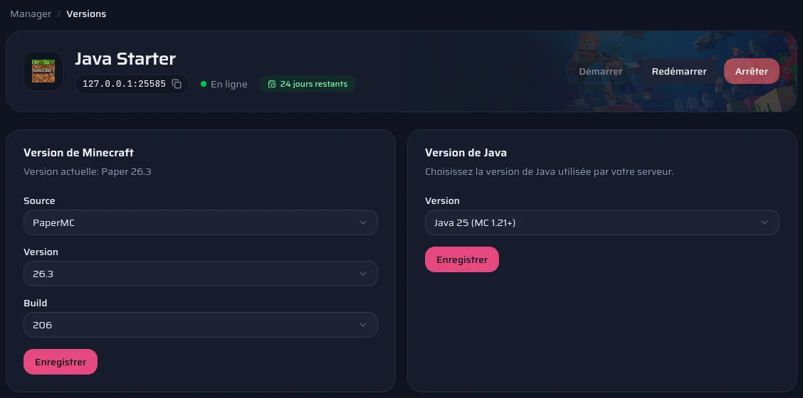 La page Versions du panel : logiciel, version et build du serveur, et version de Java.